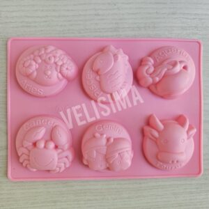 MOLDE DE SILICONA ZODIACO X 6  N°1